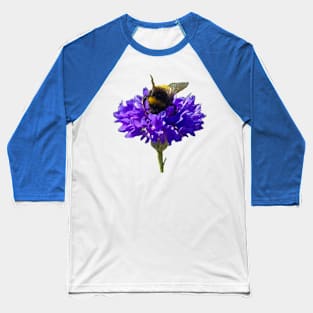 Bumblebee on a Blue Cornflower Baseball T-Shirt